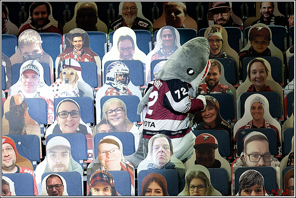 PENNY DEL;  Koelner Haie - Fischtown Pinguins Bremerhaven; Koeln, 12.02.2021